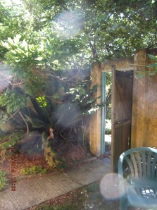 In the maid's garden