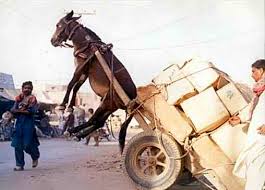 horse pulling overloaded cart