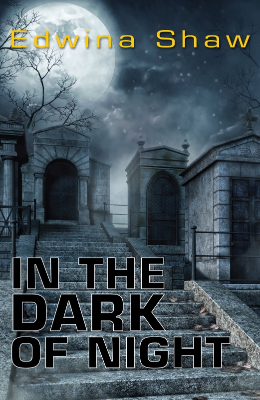 In the Dark of Night by Edwina Shaw